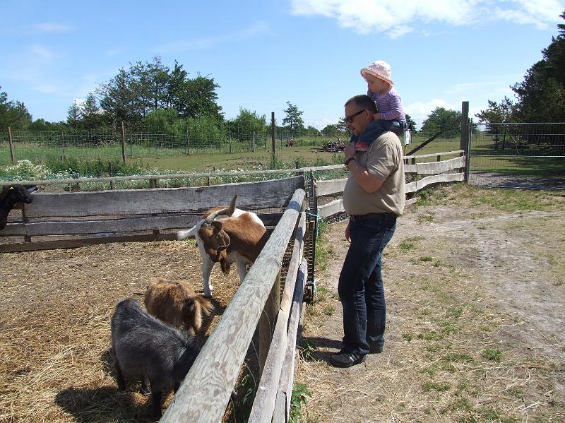 Sofia i  FarmFun 158.jpg